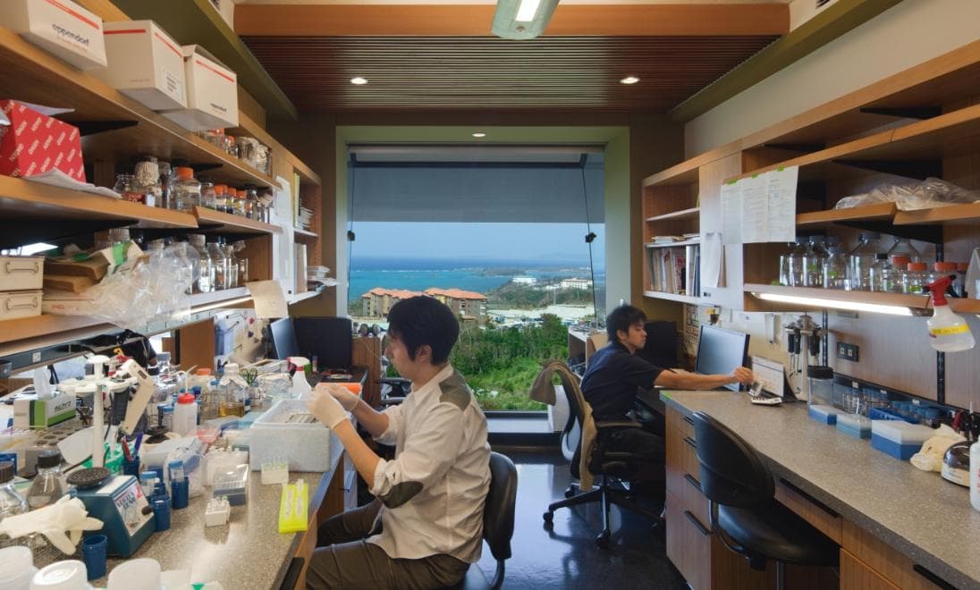 Two researchers working with microscopes and other equipment with a window overlooking the sea behind them.