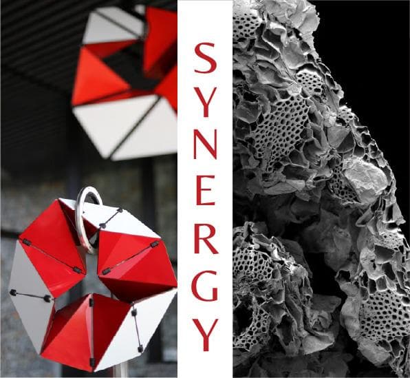 Art Exhibition — Synergy